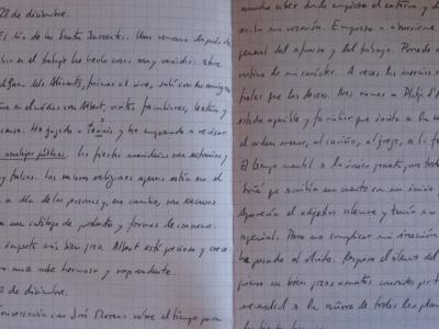 Alfabetos, letras y lenguas. Un enlace para curiosos.